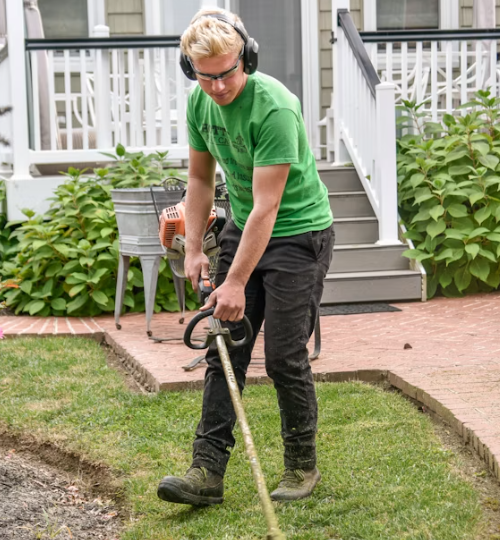 Home landscaping